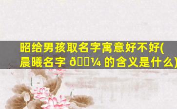 昭给男孩取名字寓意好不好(晨曦名字 🌼 的含义是什么)